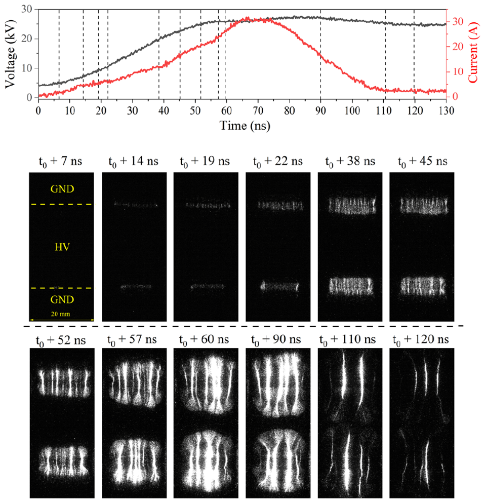 article primary image
