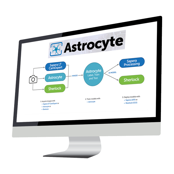 Astrocyte