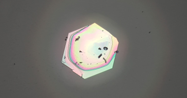 article primary image